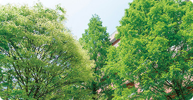 年間行事8月