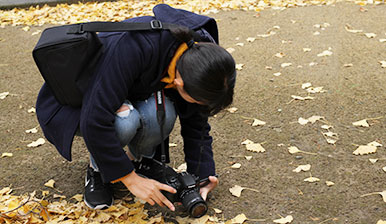 写真部2
