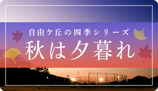 自由ケ丘の四季シリーズ