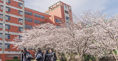 年間行事4月